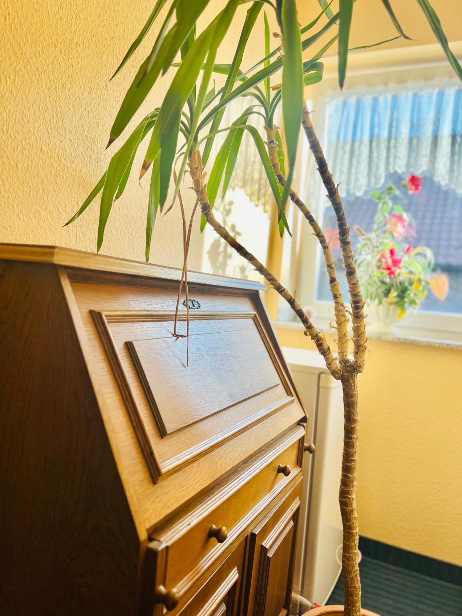 Tm Hotel Westfalen 뤼넨 외부 사진